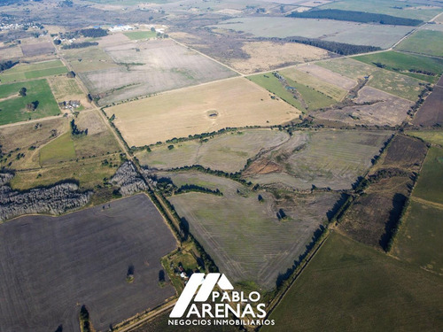 Campo En Venta 24 Ha, Rosario #2458