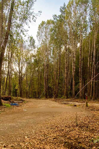 Parcela En Condominio En Camino Braunau A Las Quemas