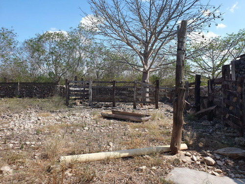 Terreno De 6 Hectareas En Kanasin, Yucatan