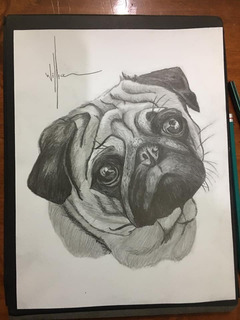 Retratos De Tu Mascota Personalizados A Buen Precio Mercadolibre Com Mx Retratos De Tu Mascota Personalizados A Buen Precio Mercadolibre Com Mx