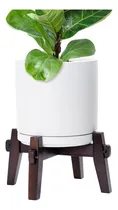 Comprar D'vine Dev Maceta De Ceramica Con Soporte De Madera, Juego D