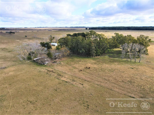 Imagen 2 de 18 de 33 Has En Venta - Chacra Agrícola Con Excelente Acceso