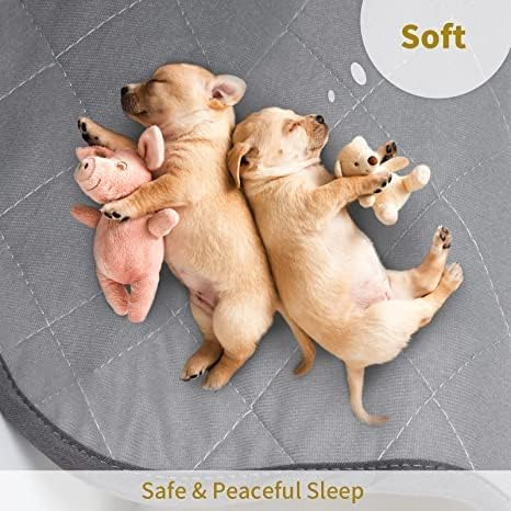 Almohadilla Urinaria Lavable Coolshields Para Cachorros,