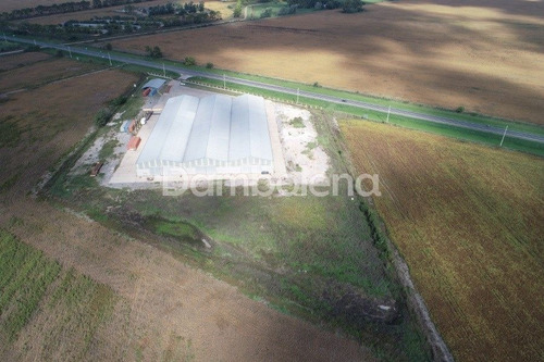Imagen 24 de 26 de Depósito Galpón En Venta Ubicado En Alvear, Rosario