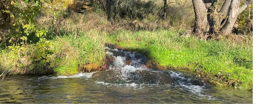 Excelente Campo De 7has En Siquiman Ideal Cabañas 