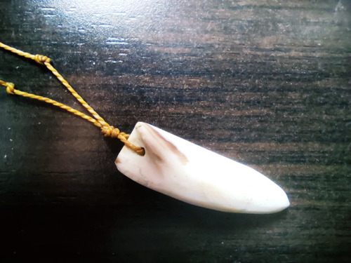 Imagen 7 de 9 de Dije Artesanal Colmillo Hecho De Caracol, Indígenas Cogui.