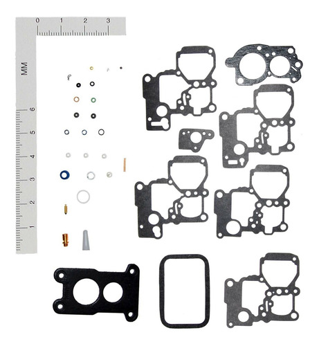 Kit Para Carburador Citation V6 2.8l De 1980 A 1983 Walker