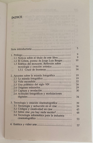 Libro El Golem Informático / Tecno Arte / Margarita Schultz (Usado)