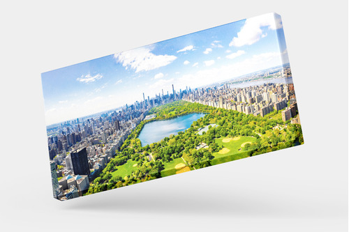 Cuadro Impresión Digital En Lienzo: New York - Central Park