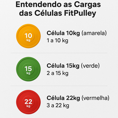 Estação De Exercícios Com Carga Por Elásticos - Flex Board *