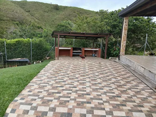 Vendo Excelente Finca En San Roque - Vereda La Encarnación