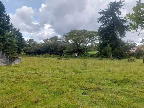 Lotes En Venta Llanogrande 743-7717
