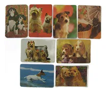 Comprar 8 Calendários Bolso Antigos Cachorros 