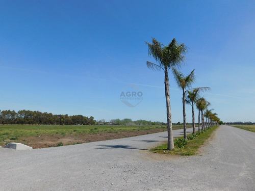 Imagen 6 de 27 de Lote - Venta - Praderas De Cardales - Alto Los Cardales - Zona Norte