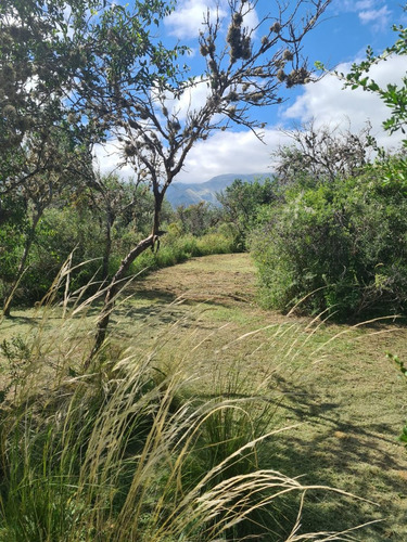 Vendo Lote En Carpinteria