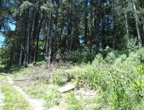 Imagem 4 de 12 de Terreno - Vila Suica - Ref: 292633 - V-292633