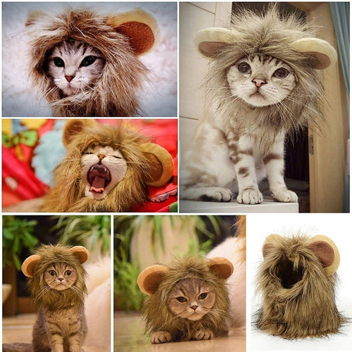 Imagen 3 de 6 de Gato León Melena Mascotas León Traje Para Mascotas León Cabe