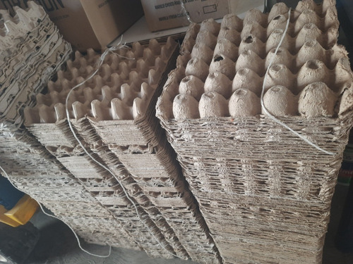 Cajas De Cartón Y Separadores De Huevo (Usado)