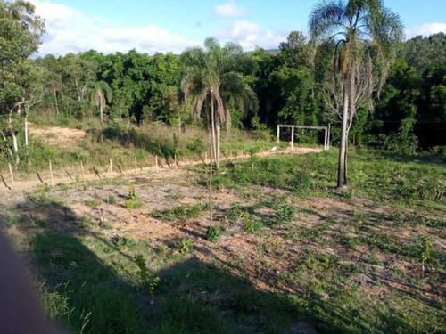 Imagem 5 de 15 de Lindo Lote - Bilt00168