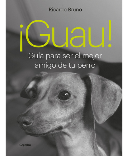 Guau !: Guia Para Ser El Mejor Amigo De Tu Perro, De Bruno, 