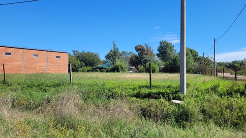 Lote En Navarro