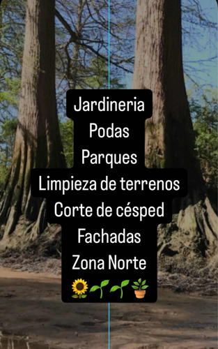 Jardinería Zona Norte