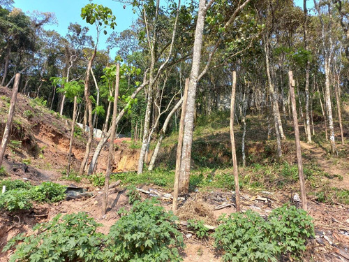Imagem 4 de 12 de Terreno Mairiporã 800 Metros