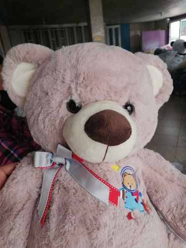 Oso De Peluche Grande 80cmts Mas Moño Y Perfume Importado