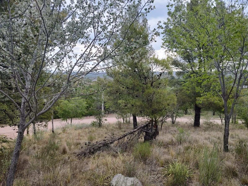 Imagen 9 de 24 de Terreno En Venta De 909m2 Ubicado En Villa Giardino