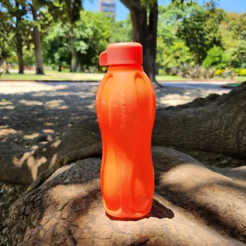 Botella Deportiva 500 Ml Colores Neón Libre Bpa Tupperware