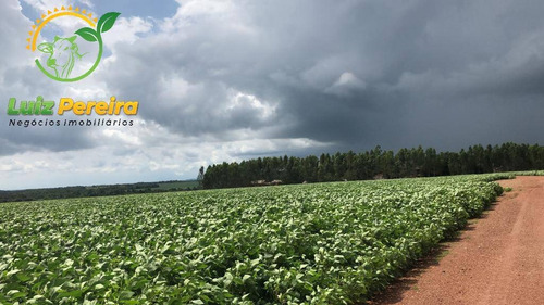 Imagem 5 de 15 de Fazenda À Venda Em Lagoa Do Tocantins-to-de 205 Alqueirões (dupla Aptidão) - 1816