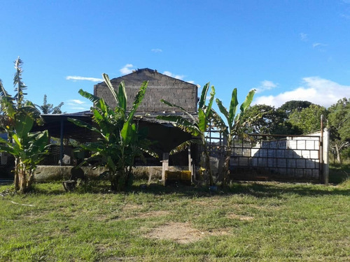 Imagen 3 de 5 de En Venta Finca Salon Via Bejuma/ En Buenas Manos