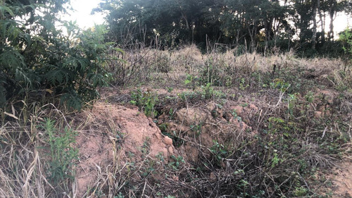 Ig Terrenos Lindos Em Ibiúna