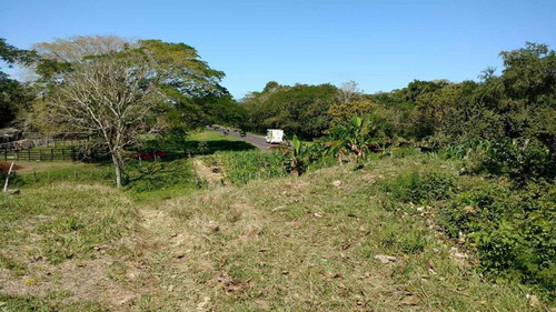 Vendo Rancho Ganadero 223 Hectáreas Temapache Veracruz
