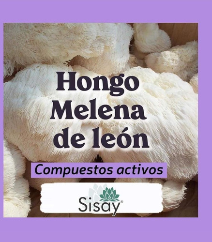 Melena De León Y Ganoderma, Sisay