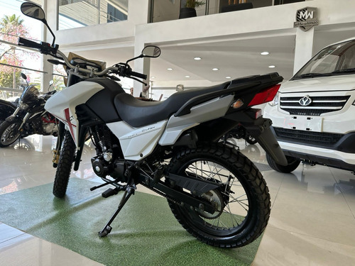 Motomel Skua Solo Dni