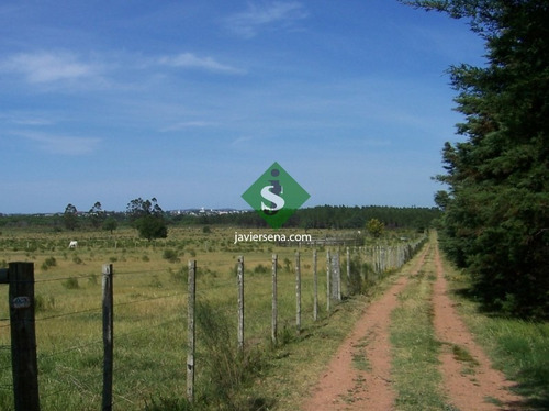 Venta De Chacra En San Carlos, 5 Hectareas, Con Arroyo, Arbolados, Sobre Ruta, Para Fraccionar.- Ref: 167767