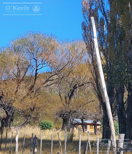 Imagen 14 de 30 de Campo En Venta De 14.000 Has En Neuquen Patagonia Argentina - Estancia Ganadera