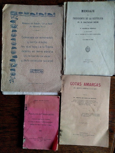 Libros Antiguo, 1920 Mensaje Del Presidente Baltasar Brum
