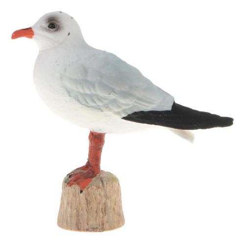 Figuras De Modelo De Gaviota De Cabeza Negra