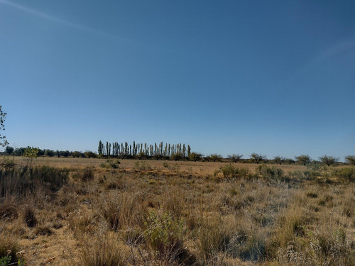 Vendo Finca Ideal Feedlot