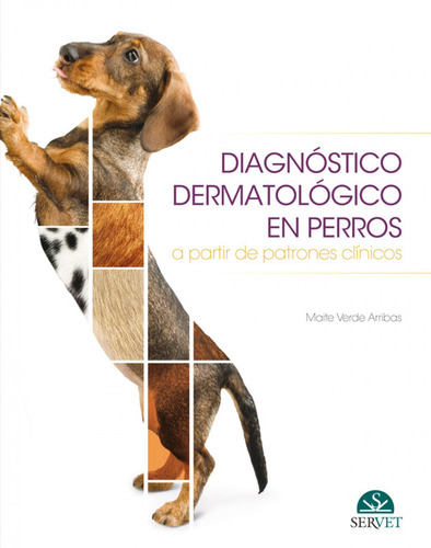 Diagnóstico Dermatológico En Perros Verde Arribas, Maite S