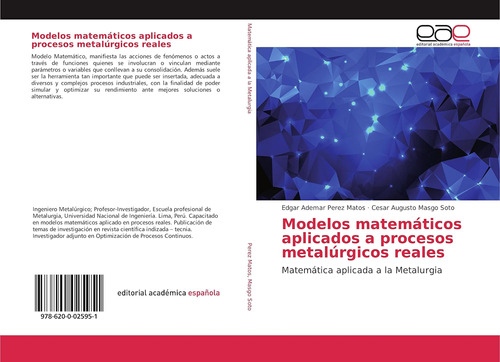 Libro: Modelos Matemáticos Aplicados A Procesos Metalúrgicos