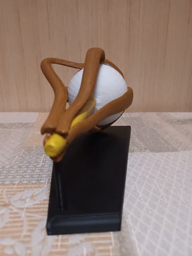 Anatomía Ojo Humano