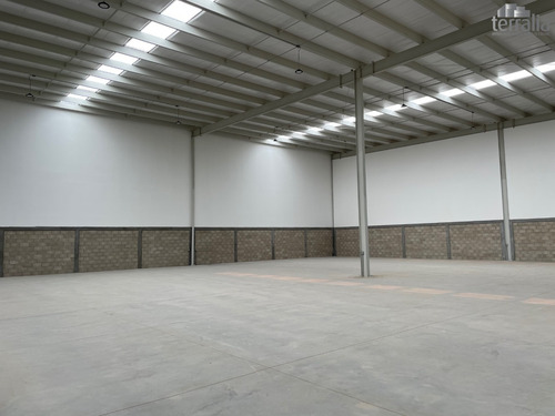 Bodega En Renta En Parque Ind. En Santa Rosa De Jaureg