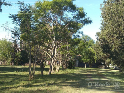 Imagen 13 de 29 de Chacra Agricola En Venta 32 Has- San Pedro