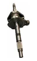 Comprar Cigueñal Zanella G Forze 250 \u002F Corven Terrain 250 Parrillero