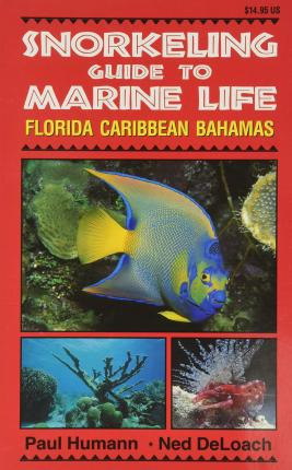Libro Snorkeling Guide To Marine Life : Florida, Caribbea...