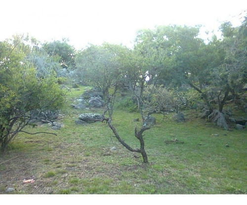 Imagen 8 de 18 de Amplisimo Lote En Prado De La Rivera . Agua De Oro,cordoba!