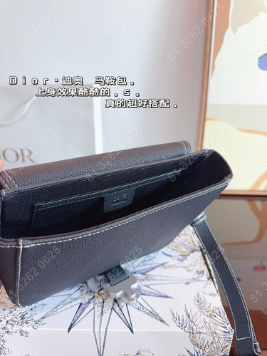 Dior 23*8*18cm Bolso Cámara En Color Sólido (Reacondicionado)